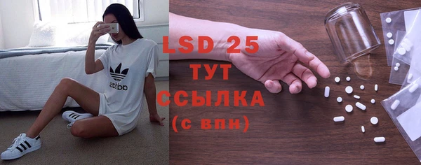 стафф Алзамай