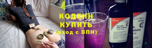 дурь Няндома