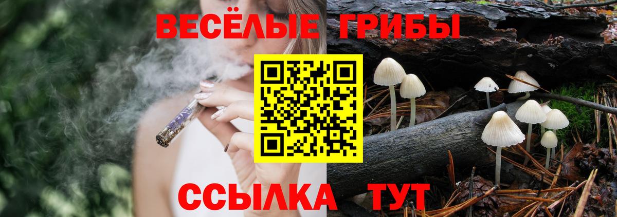 Псилоцибиновые грибы Magic Shrooms Владимир