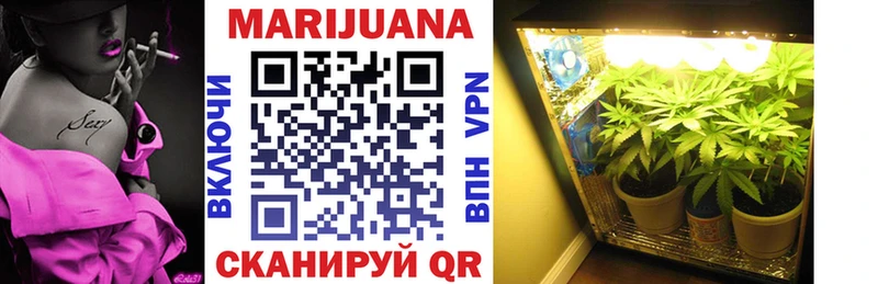 Бошки марихуана SATIVA & INDICA  Владимир 